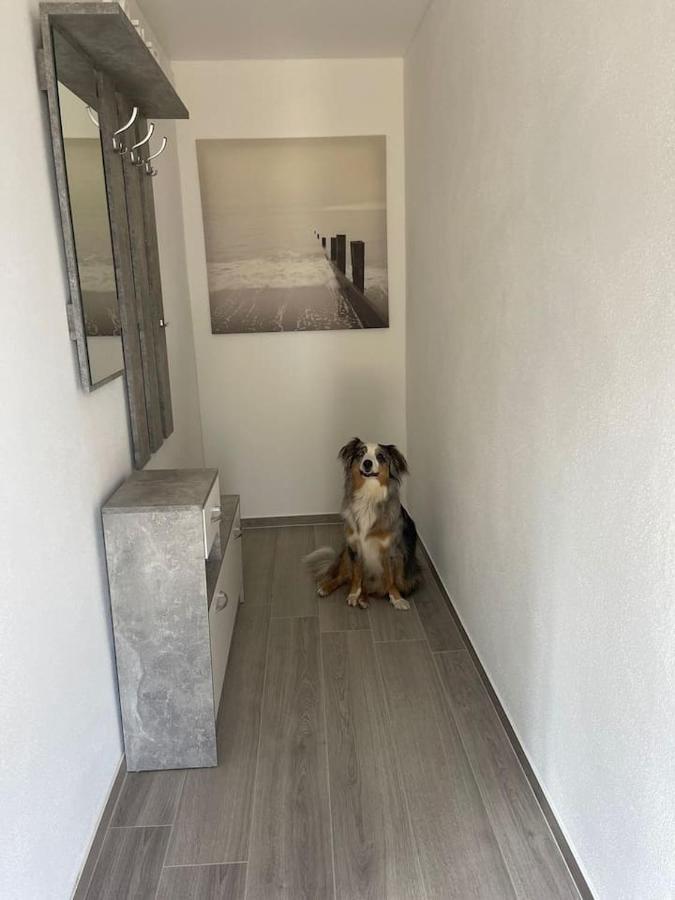Apartament Pferdehof Simon Binscheid Zewnętrze zdjęcie